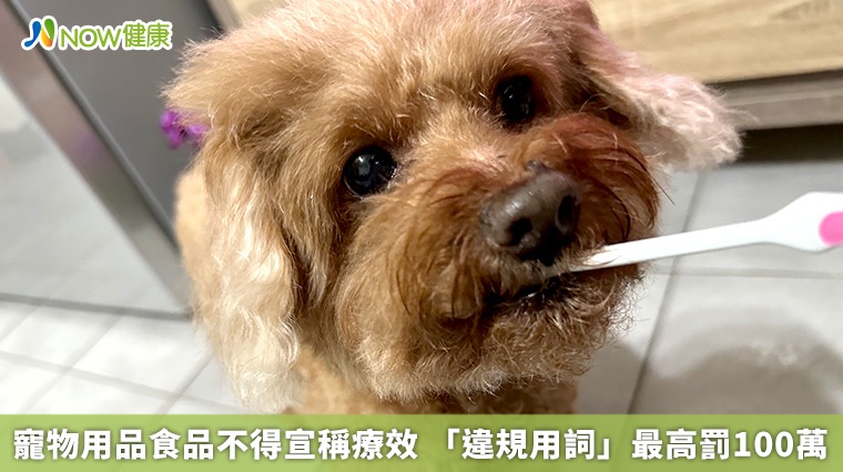 寵物用品食品不得宣稱療效 「違規用詞」最高罰100萬 寵物用品食品不得宣稱療效 「違規用詞」最高罰100萬