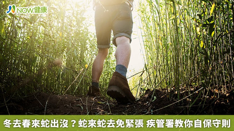冬去春來蛇出沒?蛇來蛇去免緊張 疾管署教你自保守則 冬去春來蛇出沒?蛇來蛇去免緊張 疾管署教你自保守則