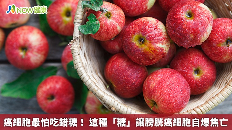 癌細胞最怕吃錯糖! 這種「糖」讓膀胱癌細胞自爆焦亡 癌細胞最怕吃錯糖! 這種「糖」讓膀胱癌細胞自爆焦亡
